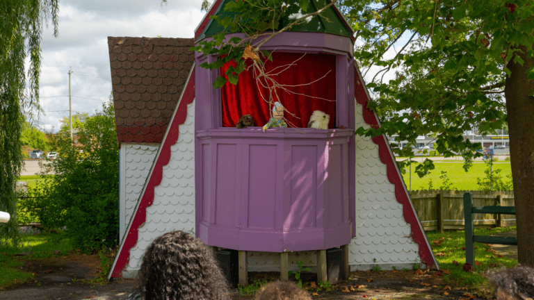 Shopping Experience Pages NAPSW Web - puppet show