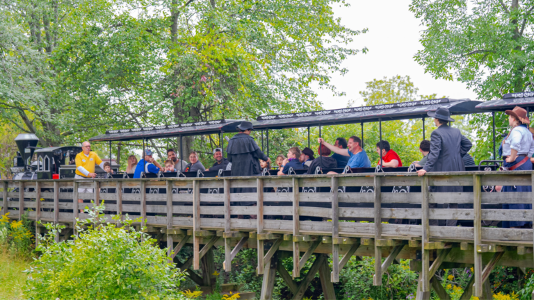 Shopping Experience Pages NAPSW Web- robbery