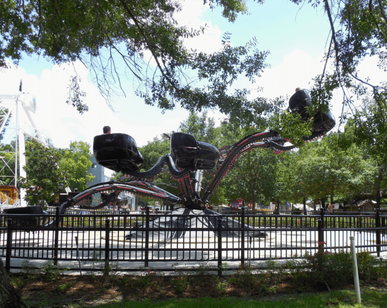 Web Rides bbdl- Black Widow