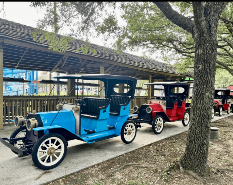 Web Rides bbdl- Gasoline Alley